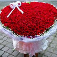 红玫瑰花365枝 情人节鲜花 99朵红玫瑰花束 重庆鲜花店鲜花速递