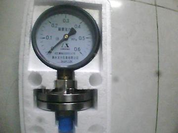 隔膜压力表YTP-100 0-0.6Mpa