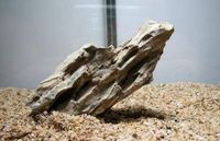 木鱼水族 松皮石 龙骨石 鱼缸造景石 另有青龙石 木化石