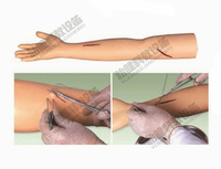 新款 高级外科缝合手臂模型 外科伤口缝合练习 人体上肢 仿真手臂