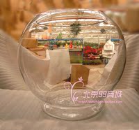 【40D】玻璃透明水培缸/鱼缸/花瓶/水培植物/圆球带底特大型缸