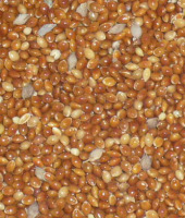 鸟食鸟饲料天然食品粒粒精选红黍子250克