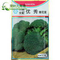 日本坂田 SAKATA 优秀西兰花 优秀青花菜种子 耐寒优秀西兰花种子