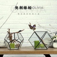 包邮奥利维娅几何玻璃罩摆件设玻璃花房咖啡厅客厅家居装饰工艺品