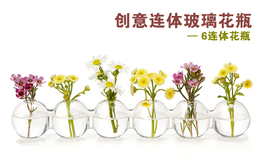 创意连体透明超美玻璃花瓶 水培植物花器皿 6连体家居工艺装饰品