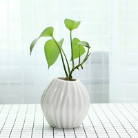 迷你小清新花瓶陶瓷简约白色办公桌面装饰品干花绿植插花水培容器
