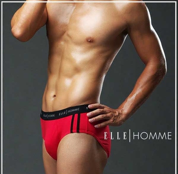 ELLE Underwear男式内裤专柜正品莱卡律动三角裤BriefE85113