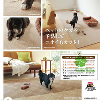 日本东理家装家用免胶方块地毯AK系列400*400环保耐污不怕宠物抓
