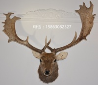 特价：真鹿头标本 壁挂1A墙饰 壁炉装饰 欧美圣诞挂件 生财有鹿