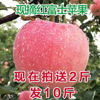 【溪口】陕西脆甜新鲜苹果水果新鲜红富士苹果水果8斤送二斤