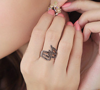 韩国钛银个性食指戒指女夸张韩版复古中指介子潮人镶钻指环ring