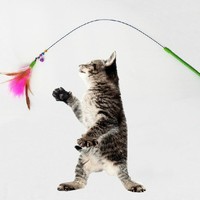 彩色羽毛逗猫棒 逗猫玩具 猫咪玩具 宠物玩具 猫互动带铃铛 包邮
