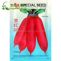 思贝奇京红30萝卜种子 水萝卜 红萝卜 抗病耐寒不抽苔产量高 20克