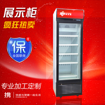 斯科曼冷冻展示柜 单门双门三门立式 冰激凌柜SLD-640F正品