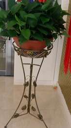 欧式铁艺多层花架子创意落地客厅阳台室内绿萝吊兰花架花盆架特价