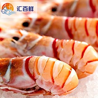 北京闪送新西兰小龙虾 南极深海鳌虾2号15只1000克刺身
