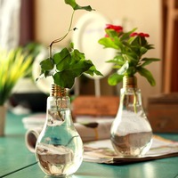 创意灯泡水培透明玻璃花瓶绿萝铜钱草植物小花瓶办公桌装饰小盆栽