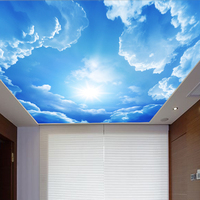 高端大型无缝壁画 蓝色天空顶上壁画儿童客厅背景壁画订制壁画
