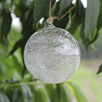 厂家直销新款内丝透明玻璃球圣诞树挂件节日装饰挂件派对装饰用品