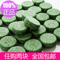 台湾代购LUSH 绿光森林精灵洗发饼 Squeaky green 55g  日产