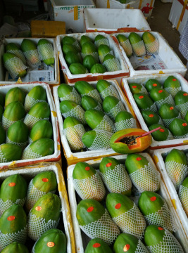 海南红心木瓜新鲜现摘夏威夷青皮木瓜热带特级水果8斤装包邮包甜