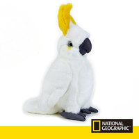 正品国家地理澳洲仿真白色鹦鹉毛绒玩具美冠鹦鹉公仔安全儿童礼物