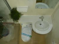 BU1014- 整体浴室整体卫浴整体卫生间一体防水集成浴室smc卫浴间