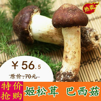 云南特产农家姬松茸干货 巴西菇新鲜松茸菇巴西蘑菇250g包邮