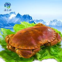 海鲜 野生熟冻面包蟹 新鲜黄金蟹750g左右/只 进口螃蟹两只包邮