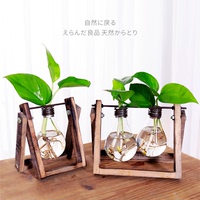 创意个性家居绿萝植物水培容器花瓶玻璃透明小清新桌面装饰品摆件
