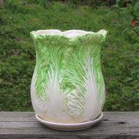 创意花盆陶瓷个性简约白菜形状吊兰高筒老桩中大托盘花盆花器包邮