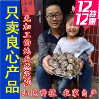 A级白花菇香菇干货农家自产 河南西峡蘑菇特剪腿级500g一斤茶花菇