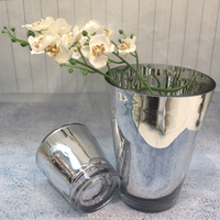 百花园家居花瓶简约电镀银色玻璃圆形花瓶台面摆件储物罐插花花器