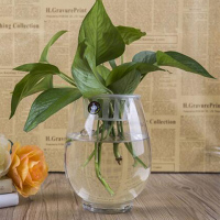 【天天特价】透明欧式大号玻璃花瓶室内桌面水培绿萝观音竹花瓶