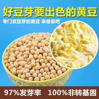 豆芽专用 非转基因有机黄豆农家自种小特产豆浆豆腐限量包邮高5斤