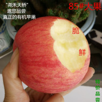 天桥果业 陕西特产红富士 有机苹果 新鲜水果 6斤12枚85 特价包邮