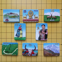 中国西藏旅游风景纪念艺术收藏冰箱贴立体浮雕创意手工树脂冰箱贴