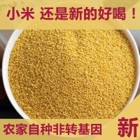 2016新黄小米 农家自产杂粮粥有机月子米 250g散装非转基因满包邮