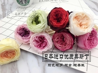 日本大地奥斯汀玫瑰（单朵价）4-5cm， 7cm左右永生花DIY材料制作
