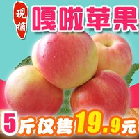 烟台嘎啦苹果新鲜有机水果烟台苹果甜脆栖霞红富士山东特产5斤装